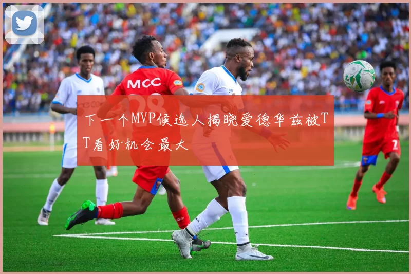 下一个MVP候选人揭晓爱德华兹被TT看好机会最大