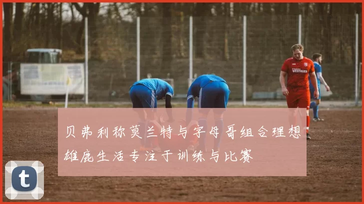 贝弗利称莫兰特与字母哥组合理想雄鹿生活专注于训练与比赛